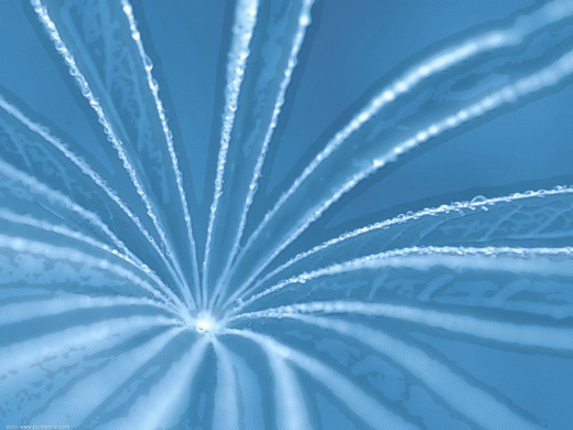 383027 (a): :1024x768